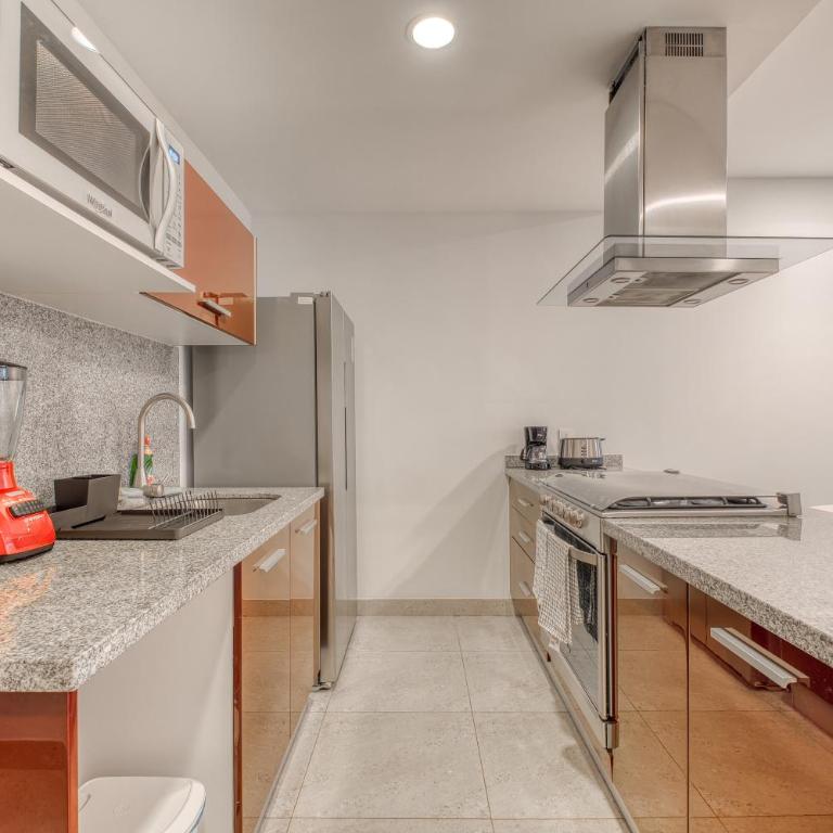Polanco Business & Leisure - Junto a Embajada USA - Two-Bedroom Apartment - 55