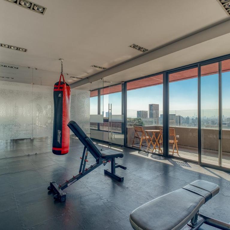 Polanco Business & Leisure - Junto a Embajada USA - Two-Bedroom Apartment - 67