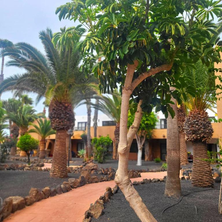 Oasis Dunas Raices del Mar Paraíso Único - Apartamento Deluxe de 1 dormitorio con vistas al jardín - 48