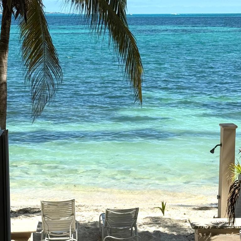Loft hermoso frente al mar a 5 min del ferry - One-Bedroom Apartment - 16