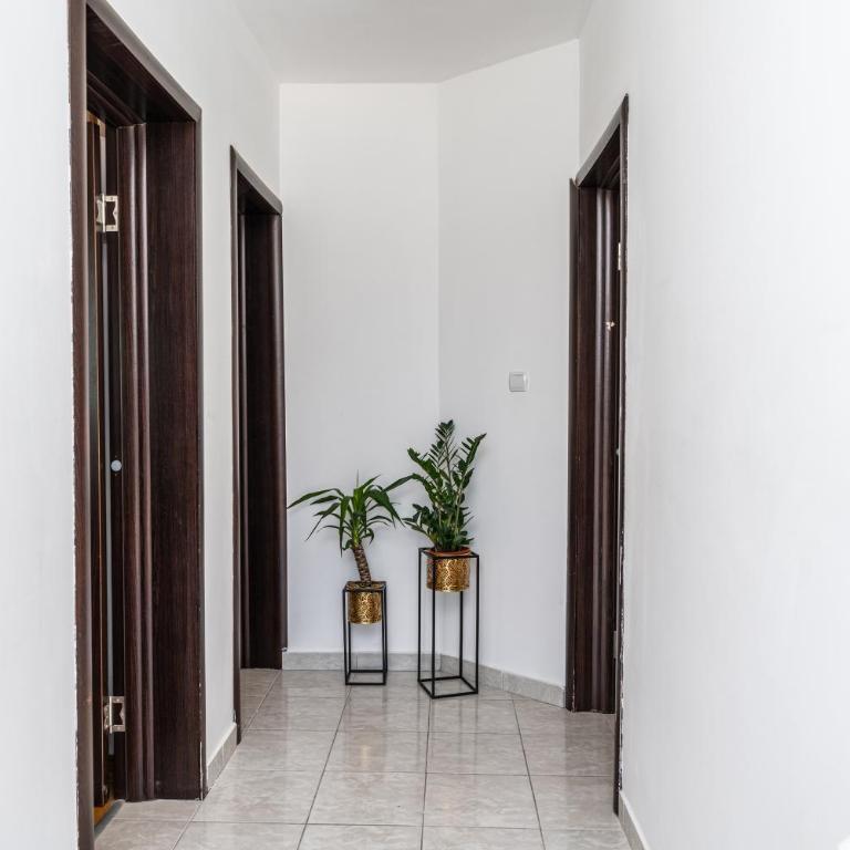 Apartments Durmitorska Vila - Deluks Apartman sa 2 Spavaće Sobe i Pogledom na Vrt - 13