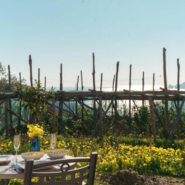 Masseria Annunziata Villa by Feeling Italy - Villa - 9