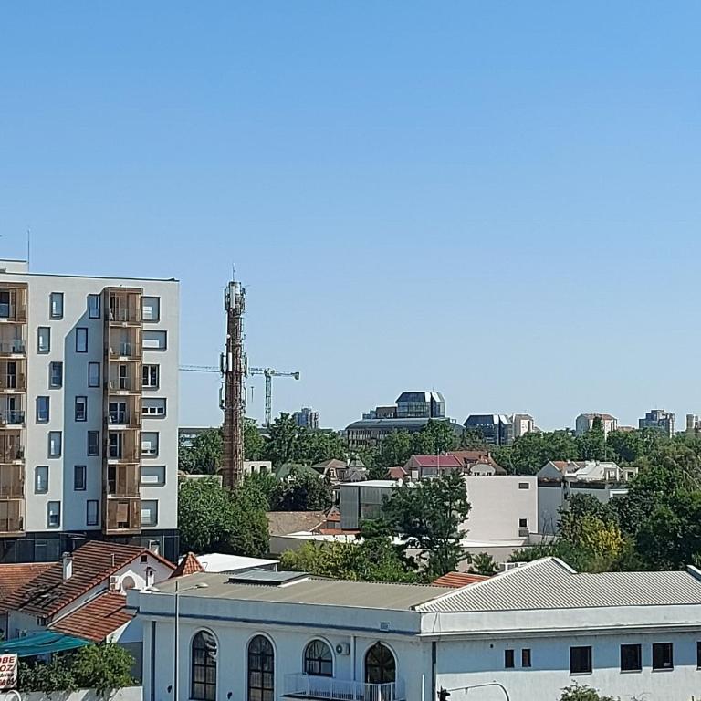 Hello Africa apartment - One-Bedroom Apartment - 10