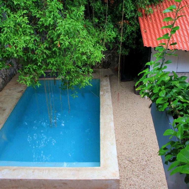 Oasis with natural pool in the heart of Mérida - Three-Bedroom Villa - 38