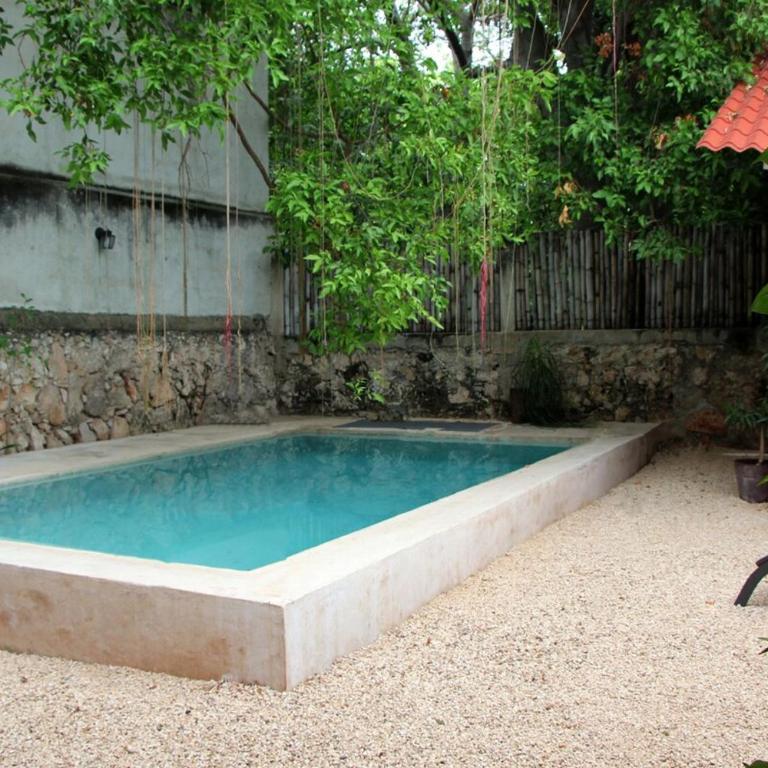 Oasis with natural pool in the heart of Mérida - Three-Bedroom Villa - 60