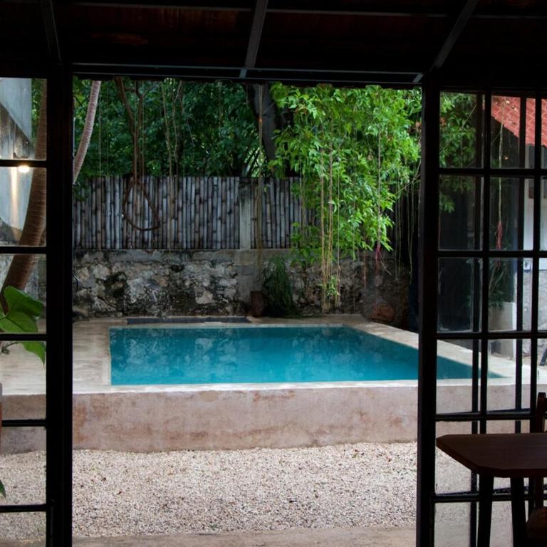 Oasis with natural pool in the heart of Mérida - Three-Bedroom Villa - 69