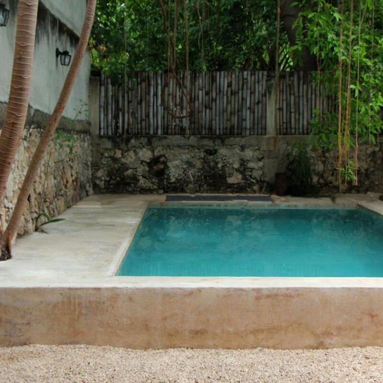 Oasis with natural pool in the heart of Mérida - Three-Bedroom Villa - 20