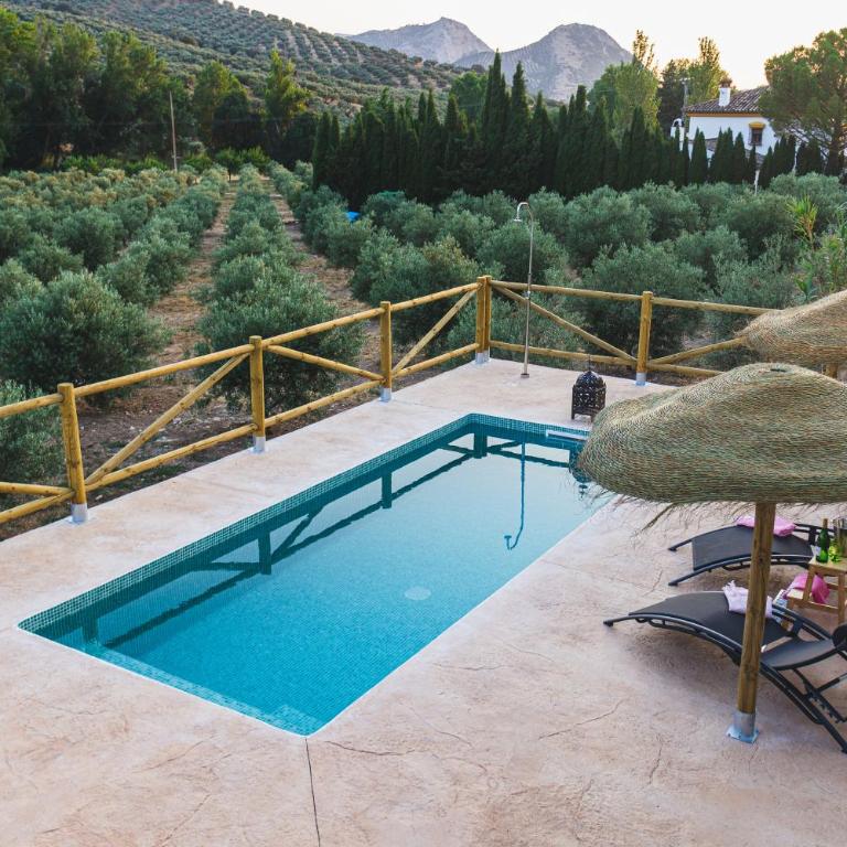 LA CASA DE LA HUERTA Stylish family cottage in Malaga countryside - Casa de 4 dormitorios - 64