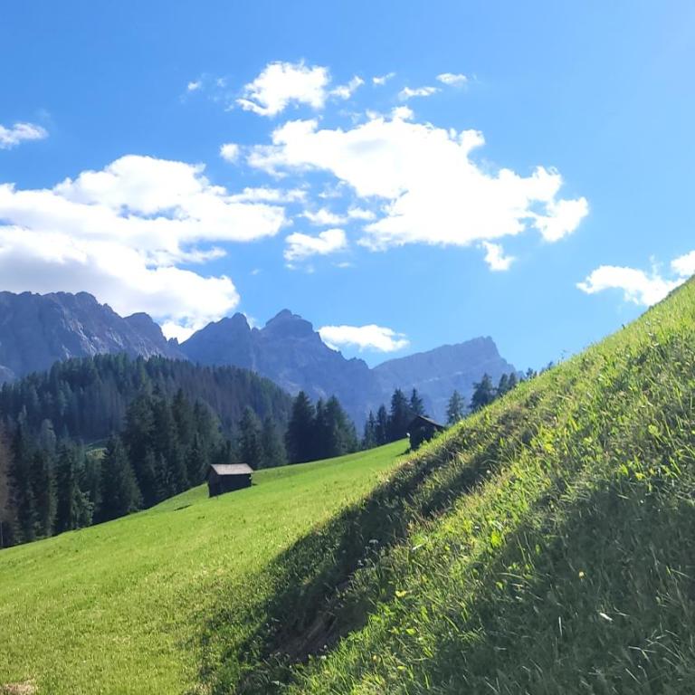 Apartment - Alpin Chalet Frenademetz - Appartamento - 26