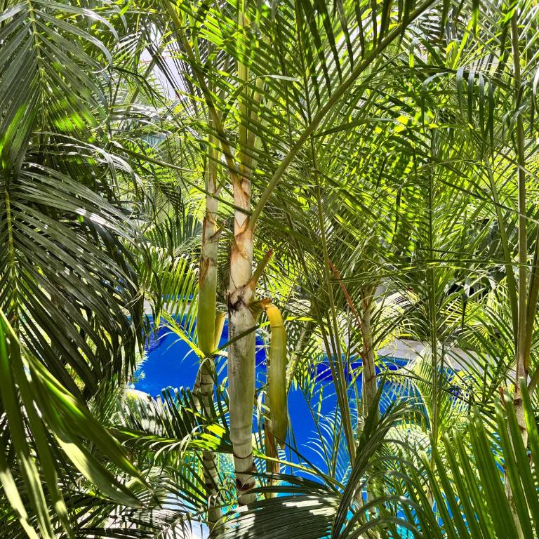 Modern 2BR Apt-3 Baths-Pool-Wi-Fi-Steps to Beach - Apartamento de 2 dormitorios - 12