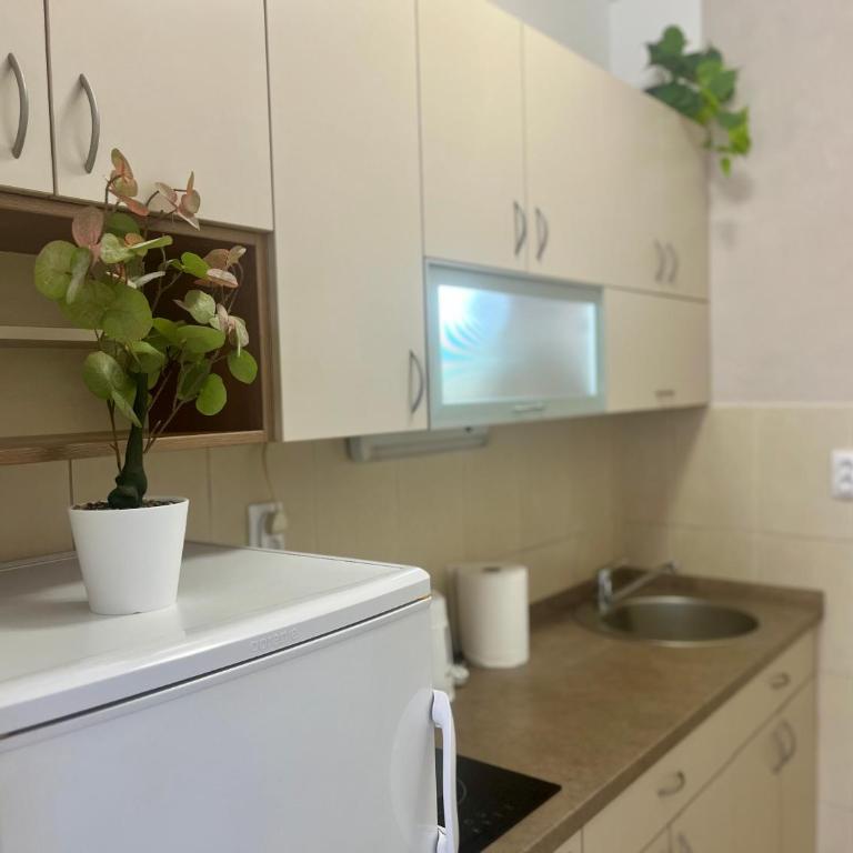 Tik-tak City center - Apartman sa 1 Spavaćom Sobom - 14
