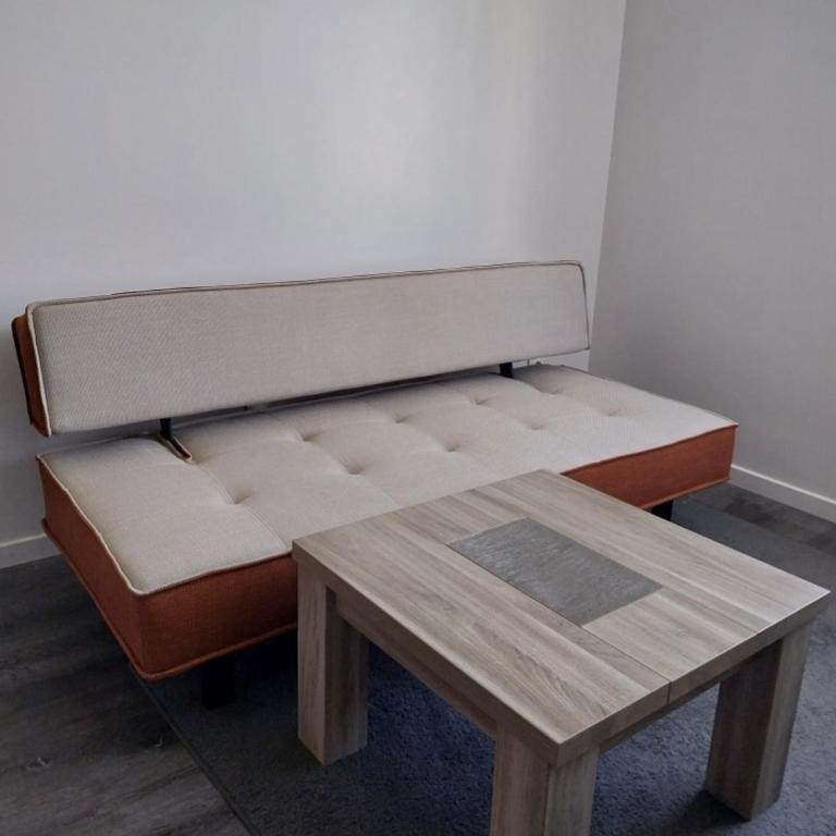 Le Figuier - One-Bedroom Apartment - 4