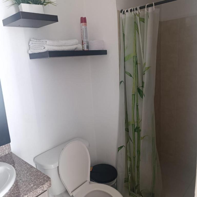 apta estudi al norte de armenia - Apartamento de 1 dormitorio - 5