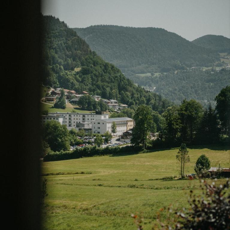 Haus Bergfrieden - Apartment mit Blick auf die Berge - 20