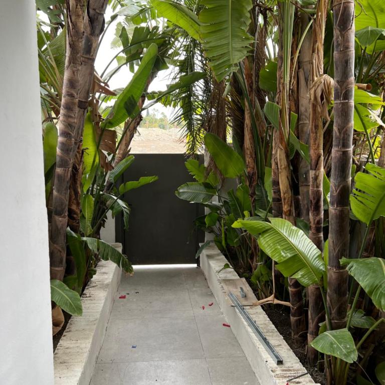 Dreamhomesbymaria next to puerto banus - Villa - 4