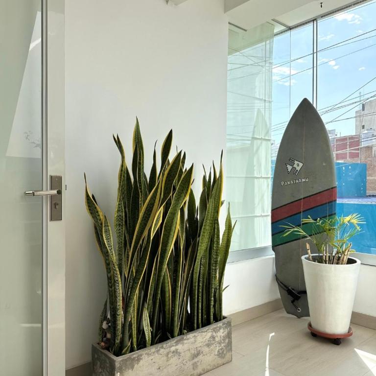 Hospedaje Pimentel - Apartamento de 1 dormitorio - 7