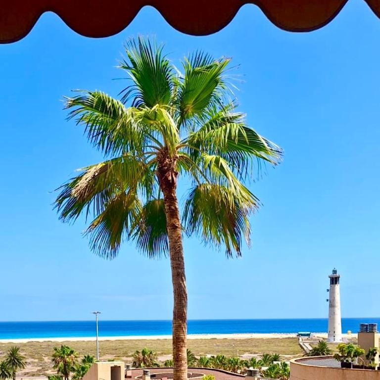 Sun&Ocean - Apartamento de 1 dormitorio - 11