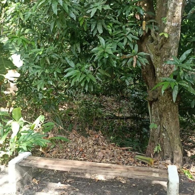 La Villa Ecofinca - Two-Bedroom House - 16