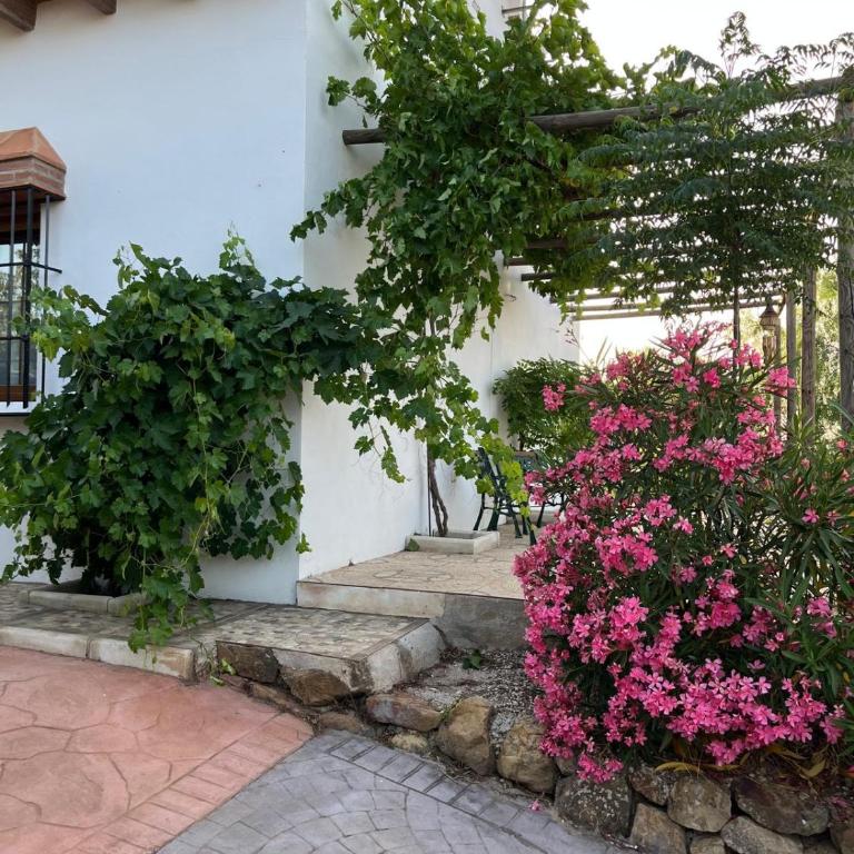 Casa Loire - Chalet de 3 dormitorios - 12