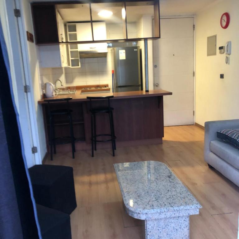 Apart Cerro San Cristóbal - One-Bedroom Apartment - 16