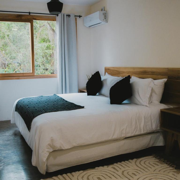 Idilio Beach Apartments - One-Bedroom Apartment - 2