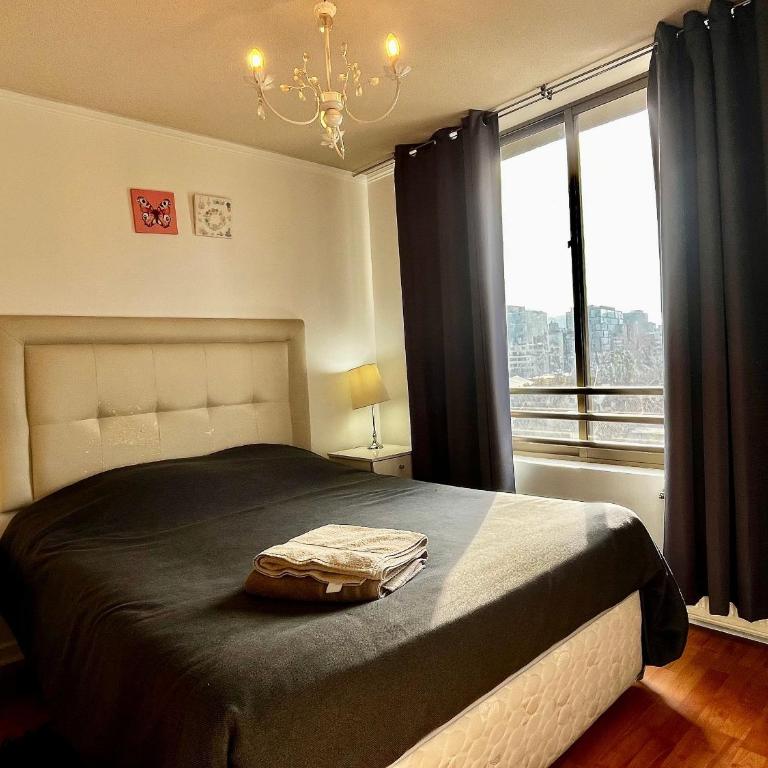 Living Pastene - Apartamento con balcón - 37