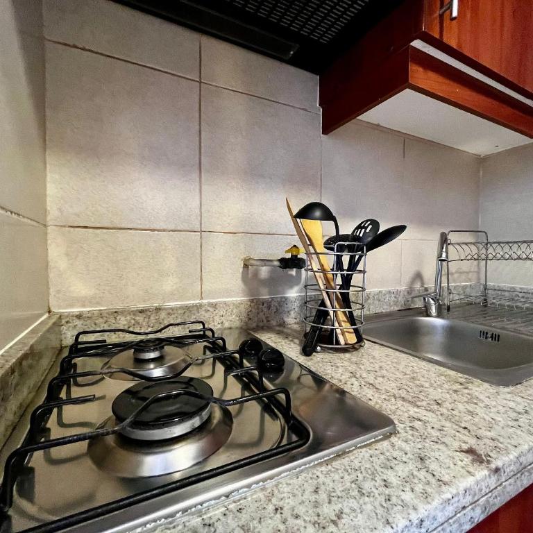 Living Pastene - Apartamento con balcón - 34