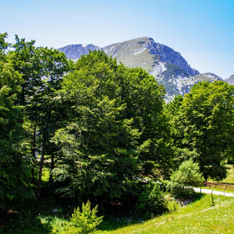 Durmitor Mountain View House Žabljak - Three-Bedroom House - 19