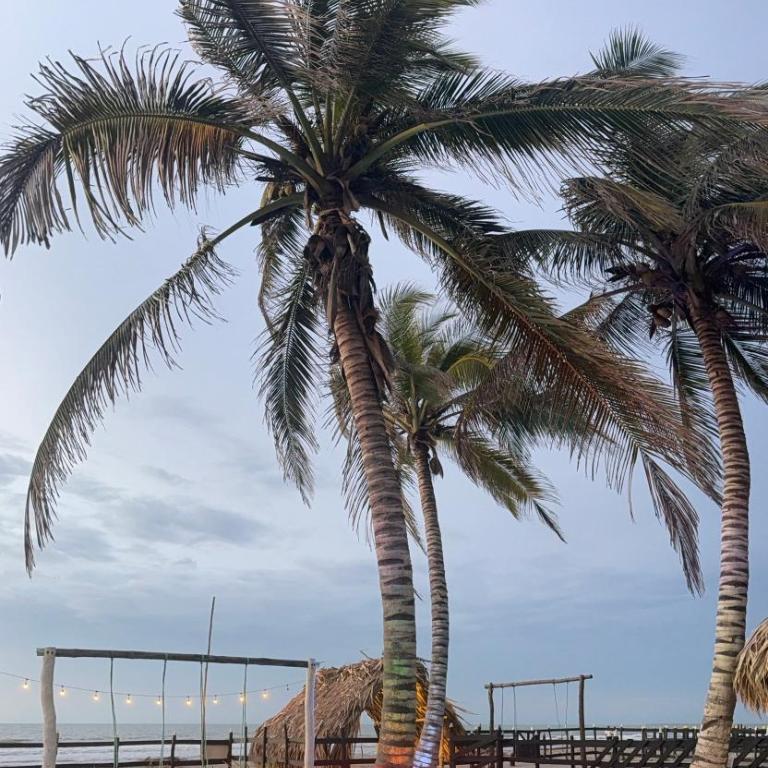 Cabaña Las Tres Palmas in San Bernardo del Viento - Casa Vacacional de 3 dormitorios - 5