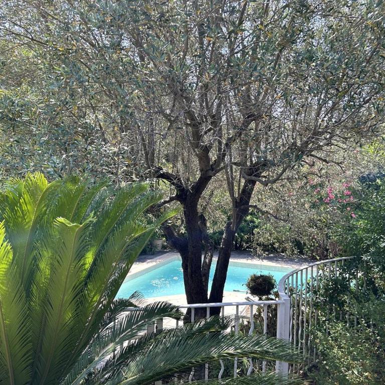 Villa spacieuse avec piscine privative à Bormes-les-Mimosas - FR-1-251-867 - Maison de Vacances - 21