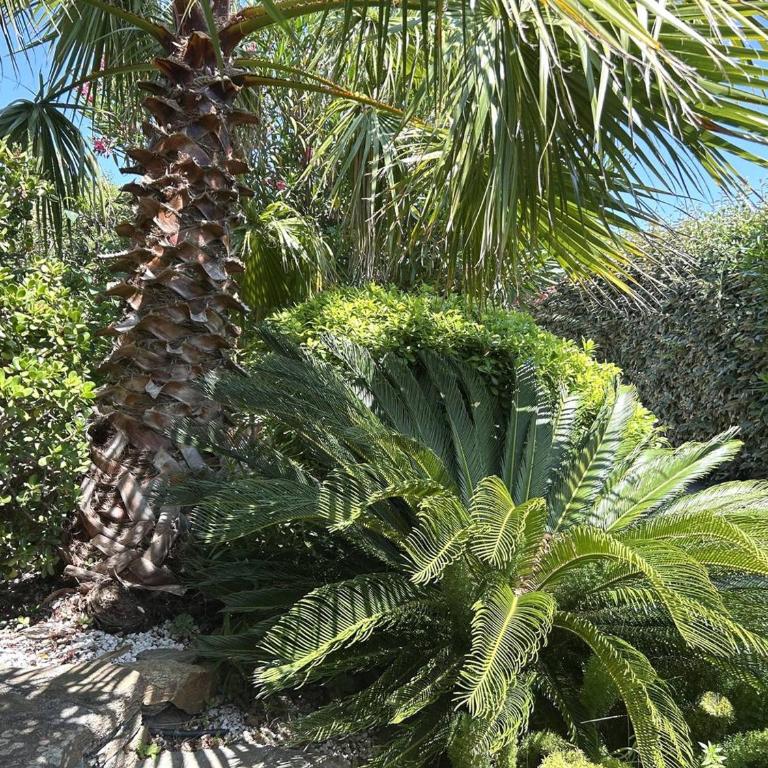 Villa spacieuse avec piscine privative à Bormes-les-Mimosas - FR-1-251-867 - Maison de Vacances - 23