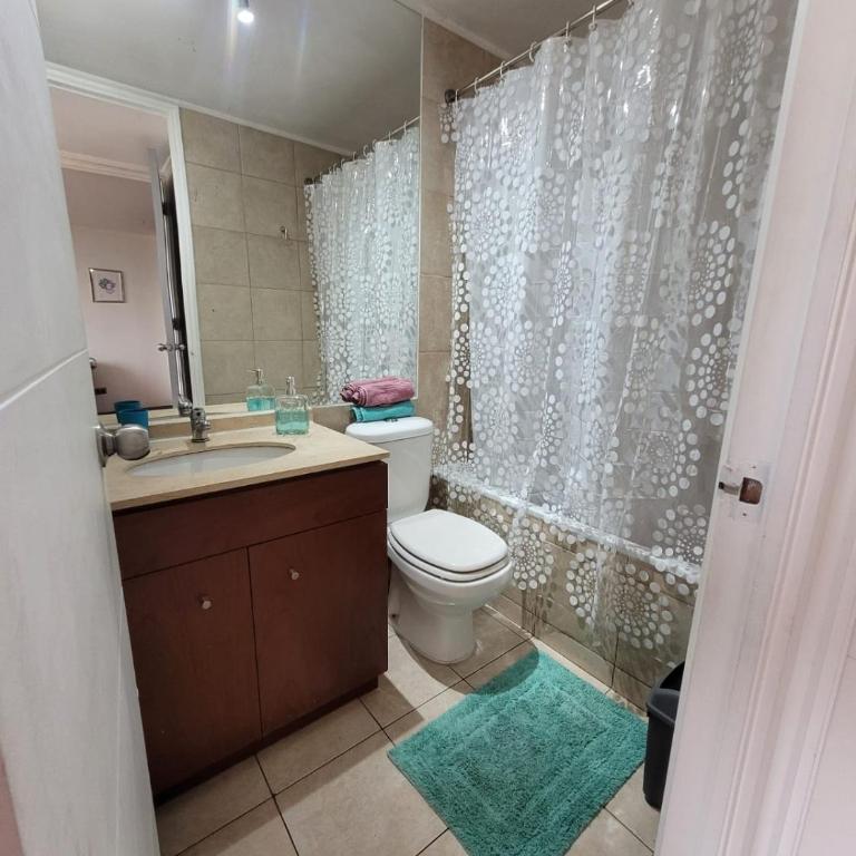 Bello departamento en Santiago Centro frente al parque Los Reyes - One-Bedroom Apartment - 8