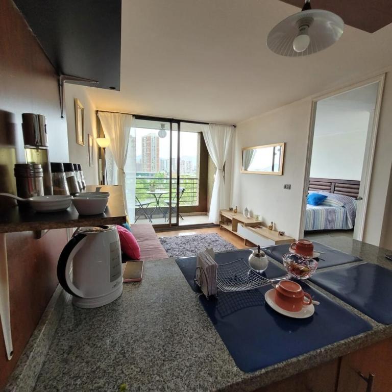 Bello departamento en Santiago Centro frente al parque Los Reyes - One-Bedroom Apartment - 10