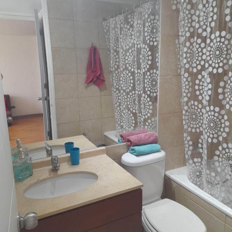 Bello departamento en Santiago Centro frente al parque Los Reyes - One-Bedroom Apartment - 16