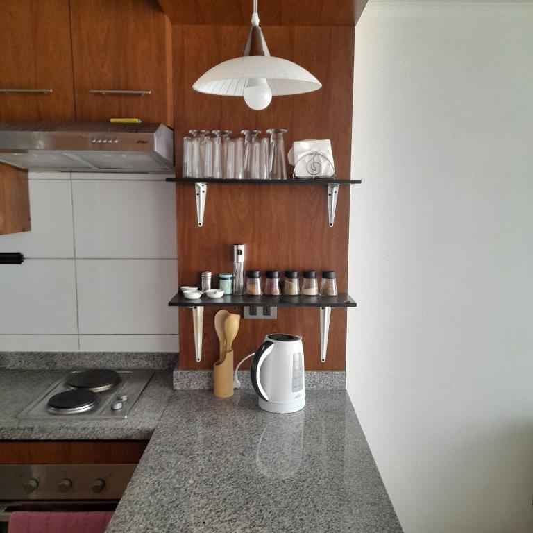 Bello departamento en Santiago Centro frente al parque Los Reyes - One-Bedroom Apartment - 21