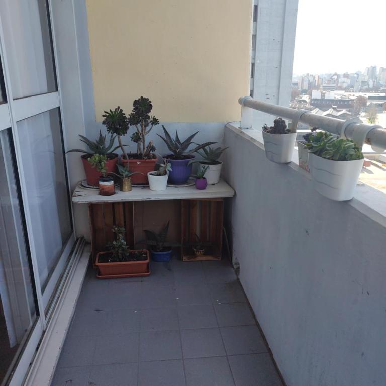 Vista sur - One-Bedroom Apartment - 10