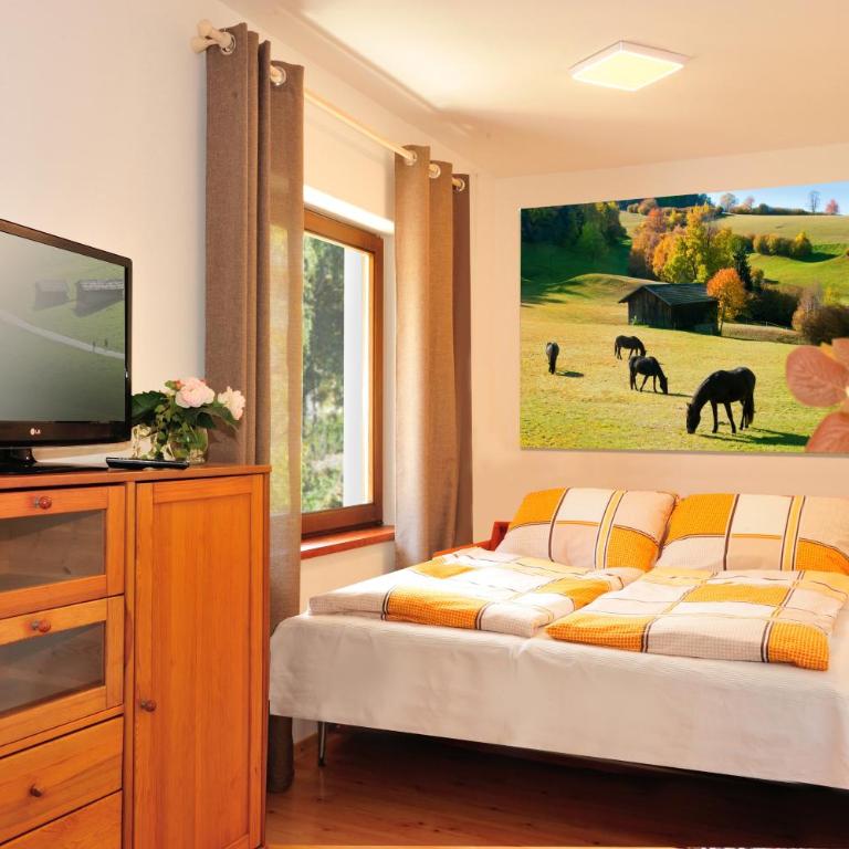 Residence Hofer - Appartamento con 1 Camera da Letto (4 Adulti) - 16