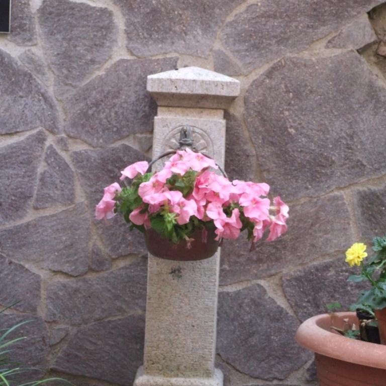 Il Giardino Degli Iris - Suite - 4