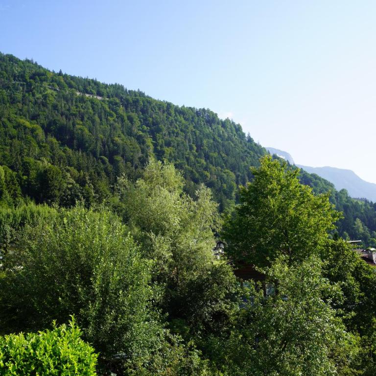 GreenView Apartment - Apartment mit Balkon - 7