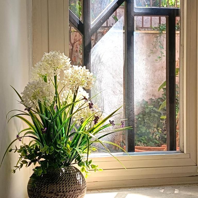 San Peter Vatican City quiet and lovely apartment - Appartamento con 2 Camere da Letto - 27