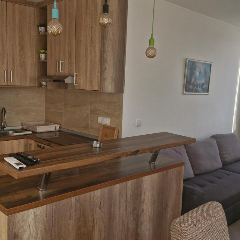 Banjica Stan 203 - Apartman sa 2 Spavaće Sobe - 3