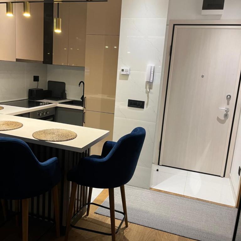 Lazarevic Lux - Vila Pekovic - One-Bedroom Apartment - 22