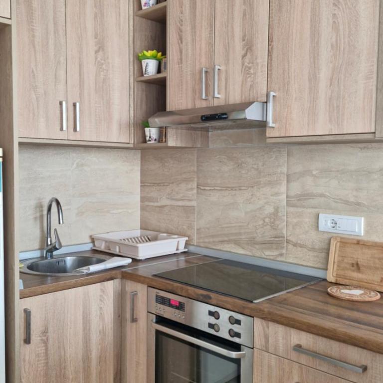 Banjica Stan 203 - Apartman sa 2 Spavaće Sobe - 5