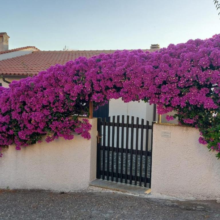 Casa delle Ginestre 2 - Appartamento con 3 Camere da Letto - 39