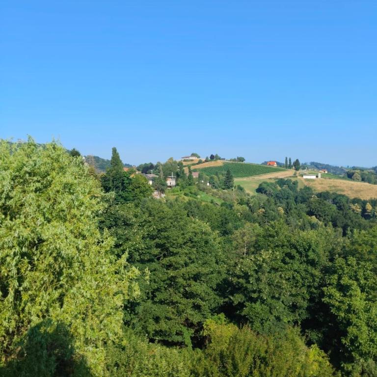 Appartement Fernblick - Apartamento de 1 dormitorio - 15