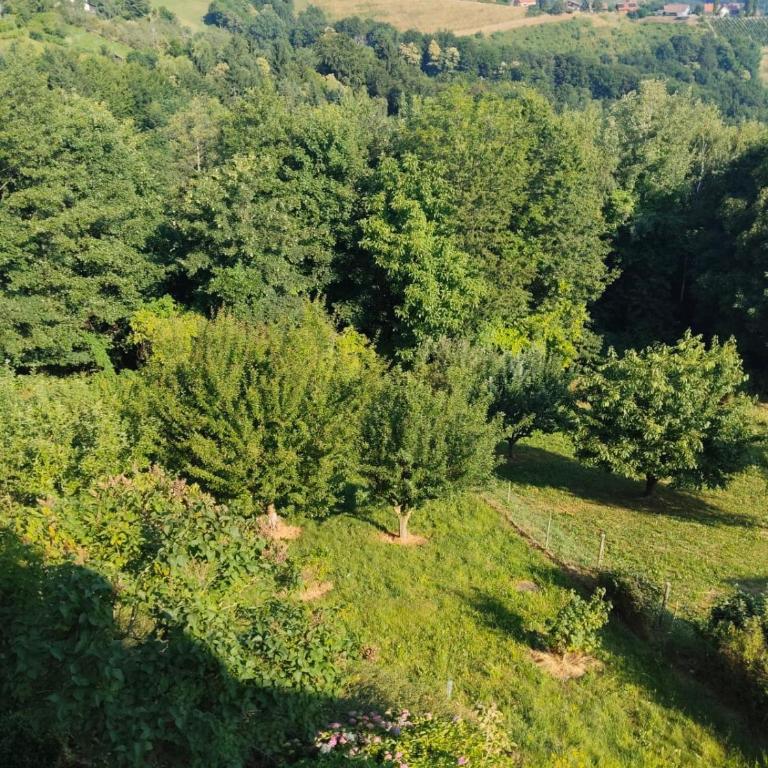 Appartement Fernblick - Apartamento de 1 dormitorio - 19