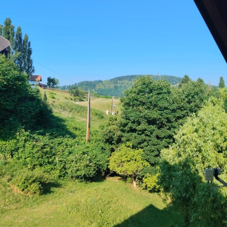 Appartement Fernblick - Apartamento de 1 dormitorio - 17