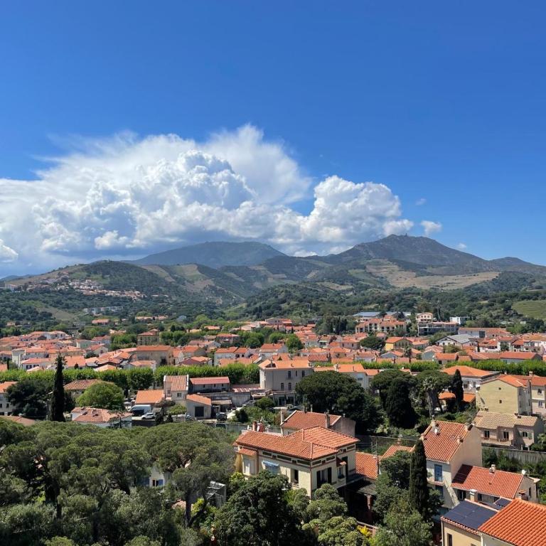Vue Panoramique Exceptionnelle Mer, Montagne et Village l T2 Luxueux - Apartamento de 1 dormitorio - 14