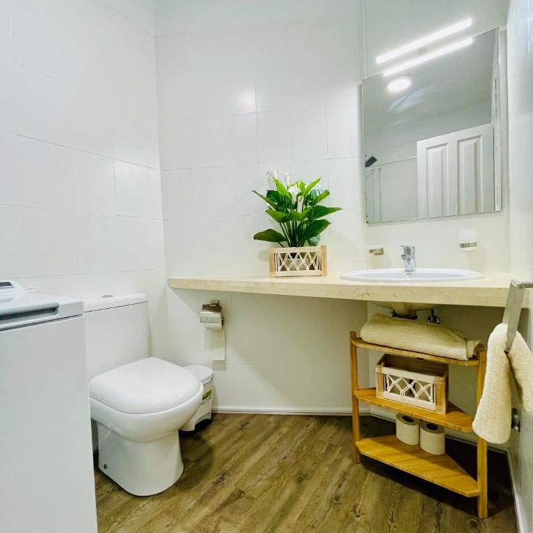 Apartamento Velero - Sailing Apartment - Apartamento Estudio con balcón - 24