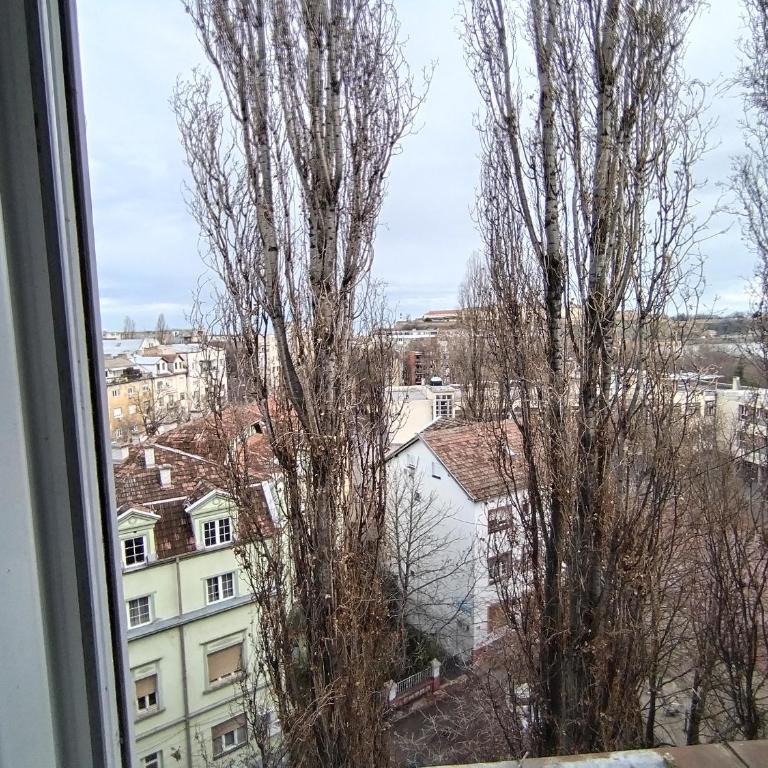 Exit apartman - Apartman sa 1 Spavaćom Sobom - 8